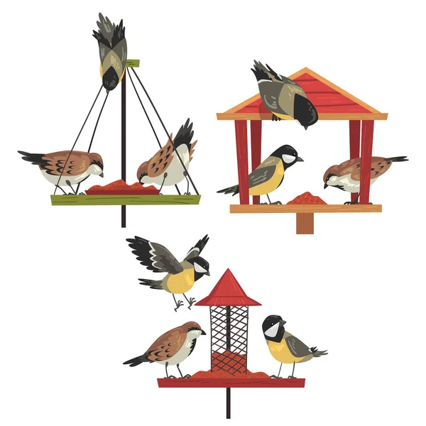Alimentatore invernale di uccelli con polli e Titmouse, Alimentazione degli uccelli del Nord da parte di Seeds Vector Illustration — Vettoriale Stock