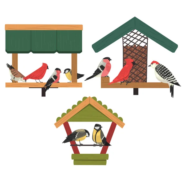Wintervogelfutter, Nördliche Vögel Fütterung durch Samen, Niedlicher Roter Kardinal, Hühner, Specht, Gimpel Vektorillustration — Stockvektor