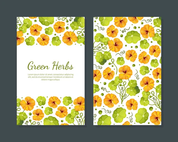 Gröna Örter Kort Mall med vackra blommor med blad, Inbjudningskort, Flyer, certifikat mall vektor Illustration — Stock vektor