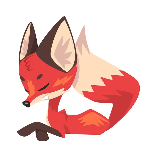 眠っている小さな狐、野生の森の動物のキャラクターベクトルイラスト — ストックベクタ