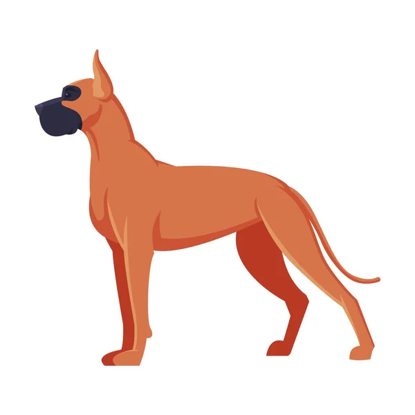 Velký Dane Boxer čistokrevný pes, Zvířecí zvíře, boční pohled Vektorové ilustrace — Stockový vektor