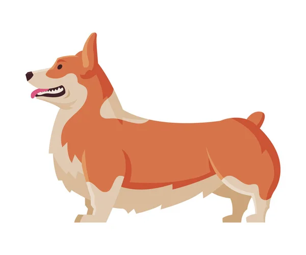 Welsh Corgi Purebred Dog, Pet Animal, Side View Vector Illustratie — Stockvector