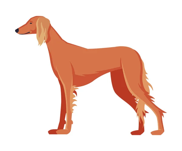 Greyhound Purebred Dog, Pet Animal, Side View Vector Illustratie — Stockvector