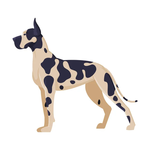 Cão de raça pura dálmata, Animal de estimação, Vista lateral Vector Ilustração — Vetor de Stock