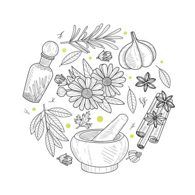 Dairesel Şeklin Bitkileri ve Baharatları, Doğal Organik Sağlıklı Ürünler Sancak Şablonu El Çizimi Vektör Resimleri