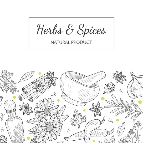 허브 (Herbs) 와 향신료 (Spices) 배너 템플 릿 - Natural Vegetarian Products Seamless Pattern Hand Drawn Vector Illustration — 스톡 벡터