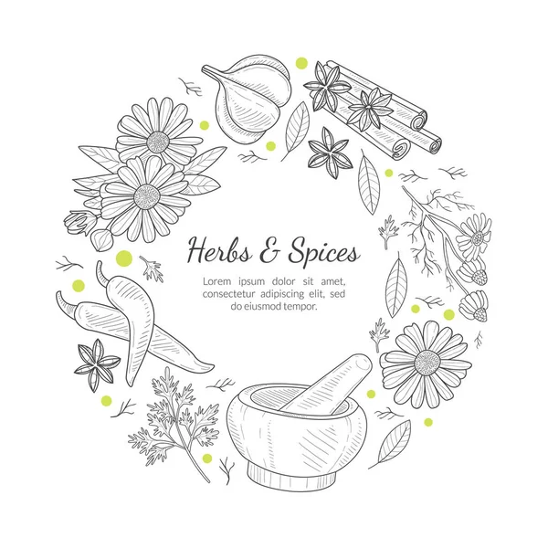 Herbs and Spices Banner Template, Round Frame with Natural Organic Healthy Products and Space for Text Hand Drawn Vector Illustration — 스톡 벡터