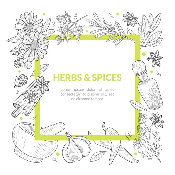 Modelo de bandeira de ervas e especiarias, quadro quadrado com produtos naturais orgânicos saudáveis e espaço para ilustração de vetor desenhado à mão de texto —  Vetores de Stock