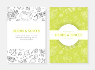 Bitki ve Baharat Kartı Şablonları Doğal Organik Sağlıklı Ürünler, Kusursuz Düzen, Etiket, Flyer, Sertifika, El Çizimi Vektör Çizimi