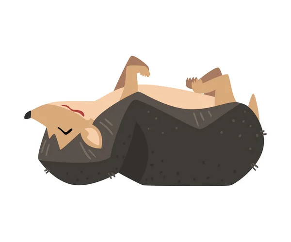 Милий їжак спить на спині, чарівний швидше дикий ліс тварин мультфільм персонаж Векторні ілюстрації — стоковий вектор