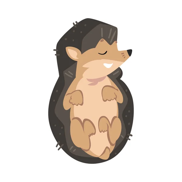 Niedlichen schlafenden Igel, schönen wilden Wald Tier Cartoon Charakter Vektor Illustration — Stockvektor