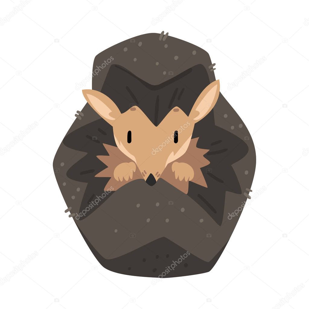 Cute Hedgehog Curled Up, Lovely Wild Forest Animal Cartoon Character Vector Illustration