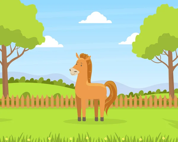 緑のフィールドと放牧馬バーン漫画ベクトルイラストと美しい夏の農村風景 — ストックベクタ