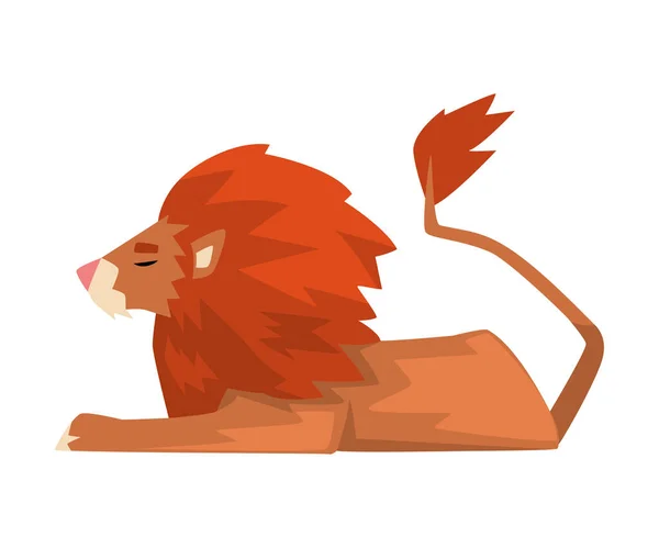 Lying Powerful Lion, Red Mammal Jungle Animal Character, Side View Cartoon Vector Illustration — Stock Vector