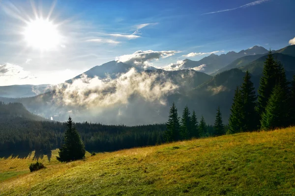 Tatra mountain formu Rusinowa glade görünümünü.