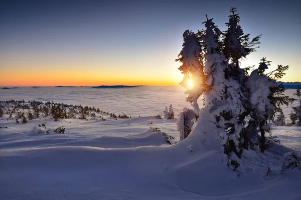 Nubes océano en la montaña Tatra al amanecer —  Fotos de Stock