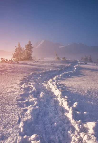 Paisaje de montaña de invierno con fotpath en la mañana nevada — Foto de Stock