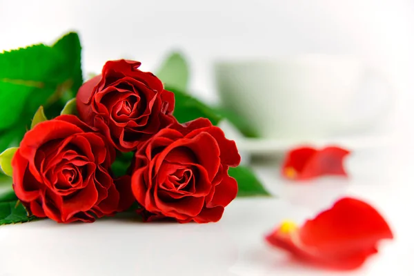 Anneler günü için kırmızı gül arka plan