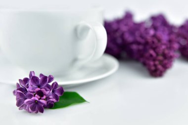 Menekşe leylak çiçek ve çay 