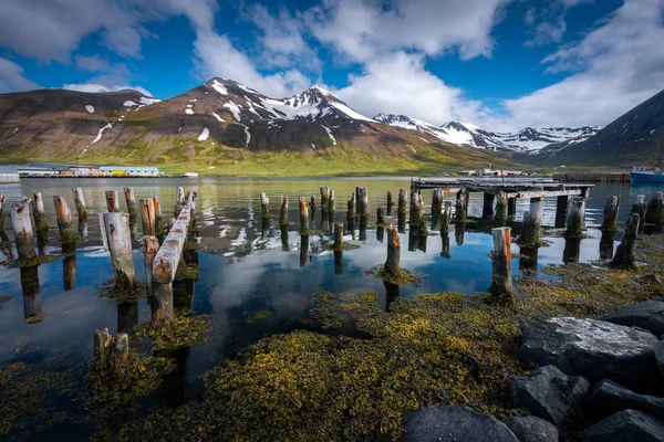 Destroyed wooden piles in the bay — Stock Photo, Image