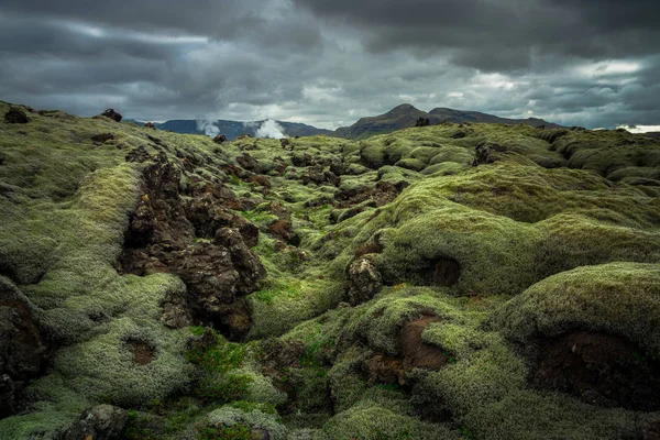 Champ de lave volcanique recouvert de mousse verte . — Photo