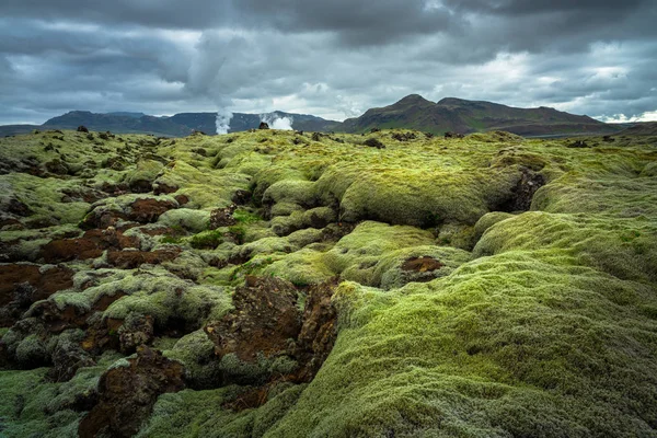 Moosbewachsenes Lavafeld von Island. — Stockfoto