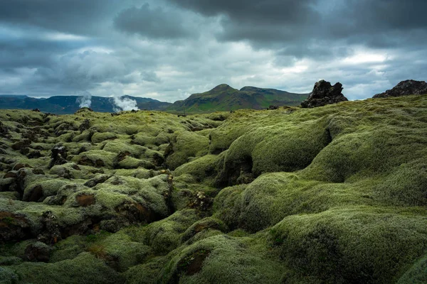Campos de lava musgosos de Islandia — Foto de Stock