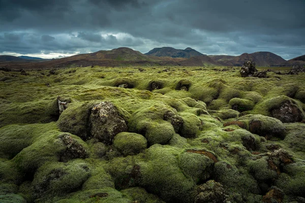 Pole lawy wulkanicznej pokryte zielonym mchem — Zdjęcie stockowe