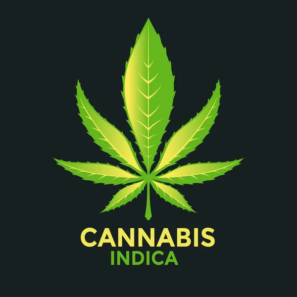 Marihuana Hoja Vectorial Cannabis — Archivo Imágenes Vectoriales