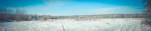 Όμορφο χειμερινό τοπίο πανόραμα. Ηλιοβασίλεμα και πρωί στο κρύο. Πρωτοχρονιά, Χριστουγεννιάτικη φωτογραφία αρχείου. Σιβηρικά είδη καλυμμένα με χιόνι — Φωτογραφία Αρχείου