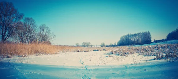 Bela paisagem de inverno panorama. Pôr-do-sol e manhã no frio. Ano Novo, foto de Natal. Espécies siberianas cobertas de neve — Fotografia de Stock