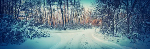 Χειμερινό τοπίο Χιονισμένο δρόμο μέσα στο δάσος. Παγωμένη Σιβηρία. — Φωτογραφία Αρχείου
