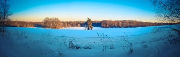 Прекрасна зимова пейзажна панорама. Захід сонця і вранці в с — стокове фото