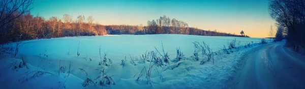 Winterlandschap Besneeuwde weg in het bos. Het koude Siberië. — Stockfoto