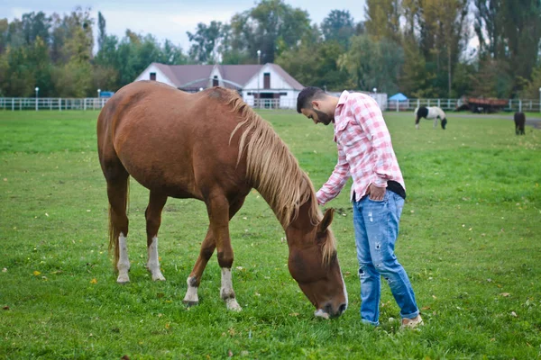 年轻英俊的牛仔 人在农场里是个农夫，那里有许多马。 乡村风景，乡村。 库存照片 — 图库照片
