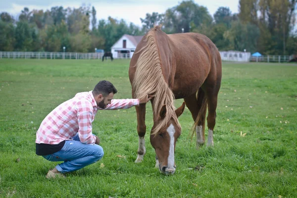 Genç yakışıklı Kovboy. İnsan çiftliğinde bir çiftçidir. Orada bir sürü at vardır. Kırsal alanlar, kırsal alanlar. Stok fotoğrafları Telifsiz Stok Imajlar
