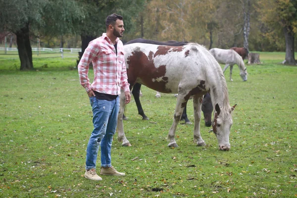 Genç yakışıklı Kovboy. İnsan çiftliğinde bir çiftçidir. Orada bir sürü at vardır. Kırsal alanlar, kırsal alanlar. Stok fotoğrafları Telifsiz Stok Fotoğraflar