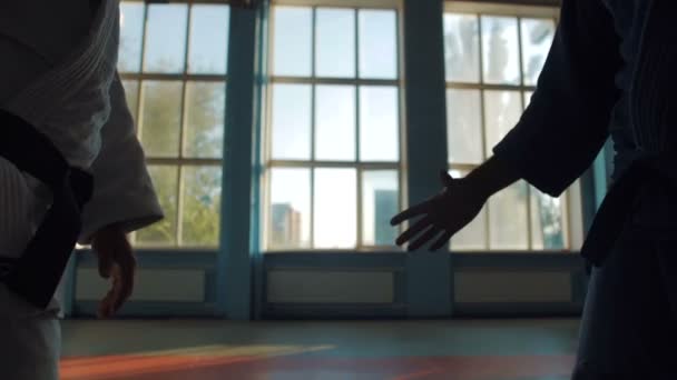 Karate el apretón de manos de dos atletas — Vídeo de stock