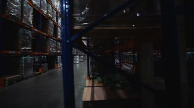 Karton kutu içinde bir depo raflarında kadar kamera Vinçler.