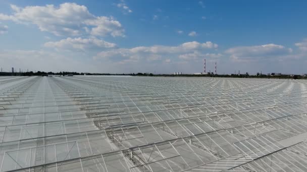 Aerial view of greenhouses with vegetables — Stock Video