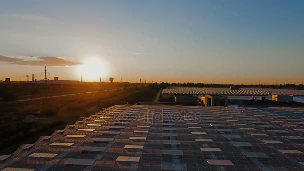 Luchtfoto van de zonsondergang landbouw kassen — Stockvideo