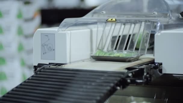 Зеленые огурцы на плоских лотках перемещаются на конвейерной ленте в цехе . — стоковое видео