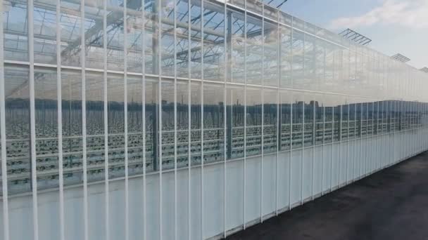 Großes Gewächshaus mit Glaswänden, Fundamenten, Satteldach, Gartenbeet