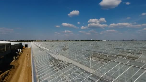 A légi felvétel a üvegházakban zöldség — Stock videók