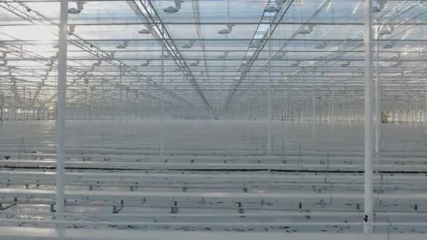 Large industrial greenhouses — Stock Video