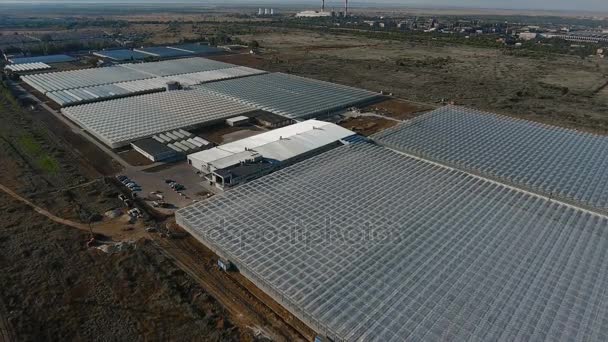 Vista aérea de invernaderos con verduras — Vídeo de stock