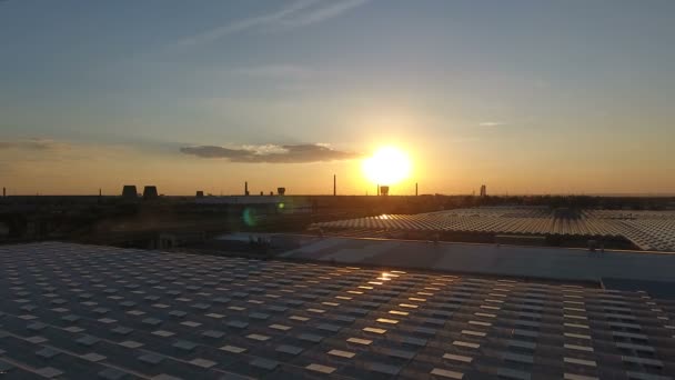 Aerial sunset view agricultural greenhouses — Stock Video