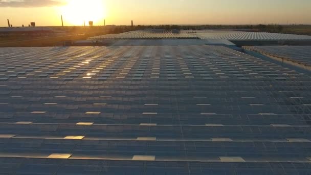 Letecký pohled na západ slunce zemědělské skleníky — Stock video