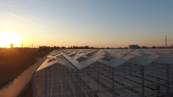 Vista aérea al atardecer invernaderos agrícolas — Vídeo de stock