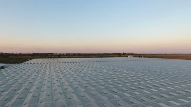 Vista aérea de invernaderos con verduras — Vídeos de Stock